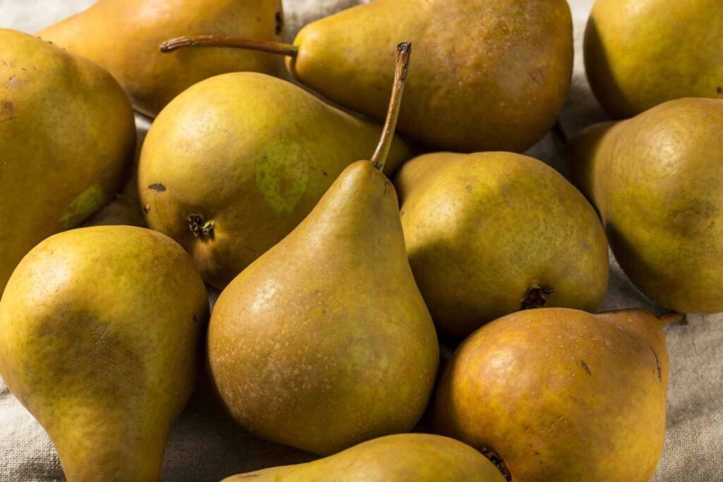 Beaurre-Bosc-pears